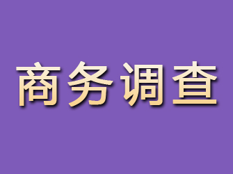 武进商务调查