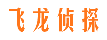 武进私人调查